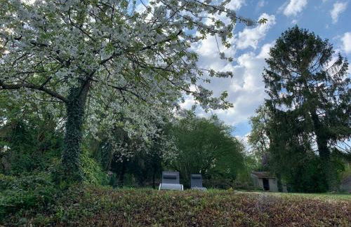 Maison d architecte avec spa - Foto 31