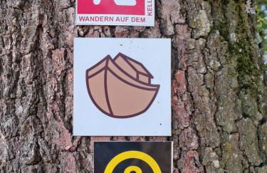 Ferienwohnung Schäfer am Nationalpark Kellerwald - Foto 18