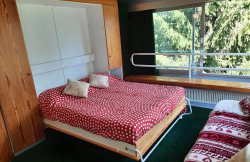 Vetrate sul bosco - Foto 3