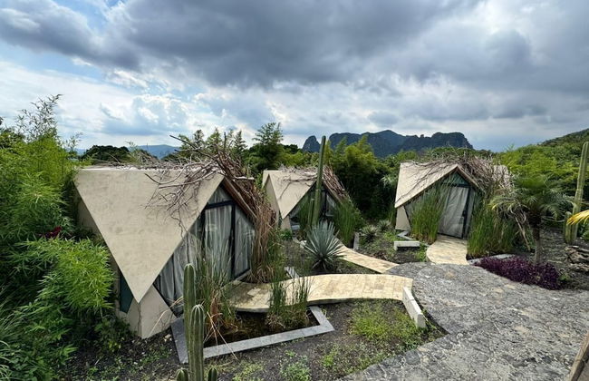 Bosque Geométrico - Foto 72