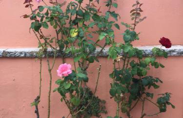 Apostolia's big house Bed and view - Foto 15