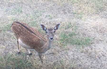Casa Bellavista con piscina en Caldes Costa Brava - Foto 122