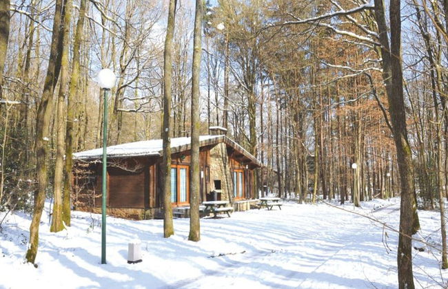 Chalet in Belgium With Cozy Wood Interior - Foto 21