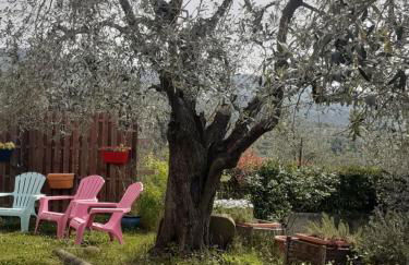 Agriturismo Podere Zollaio - Foto 46