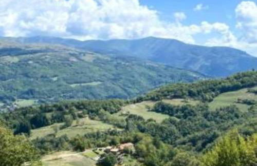 Castelvecchio Family Retreat - Foto 51