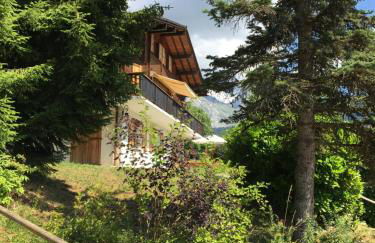 chalet artheis - Photo 30
