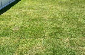 Casa Mar Sonho Verde - Foto 54