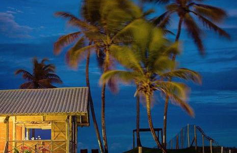 Tree Bies Resort, Simplesmente Maravilhoso! - Foto 10