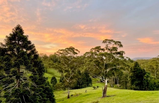 Whispering Valley Cottage Retreat - Photo 47