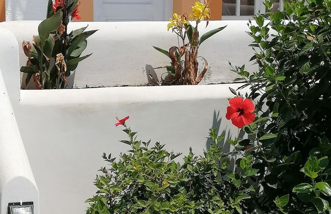 Katerina Apartments - Foto 49