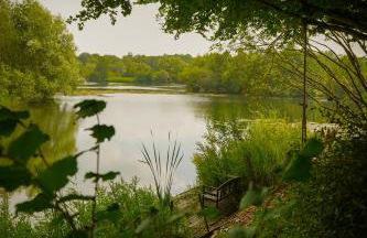 The Dairy at Lodge Farm - Photo 24