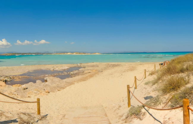 Excursión a la isla de Espalmador - Foto 1