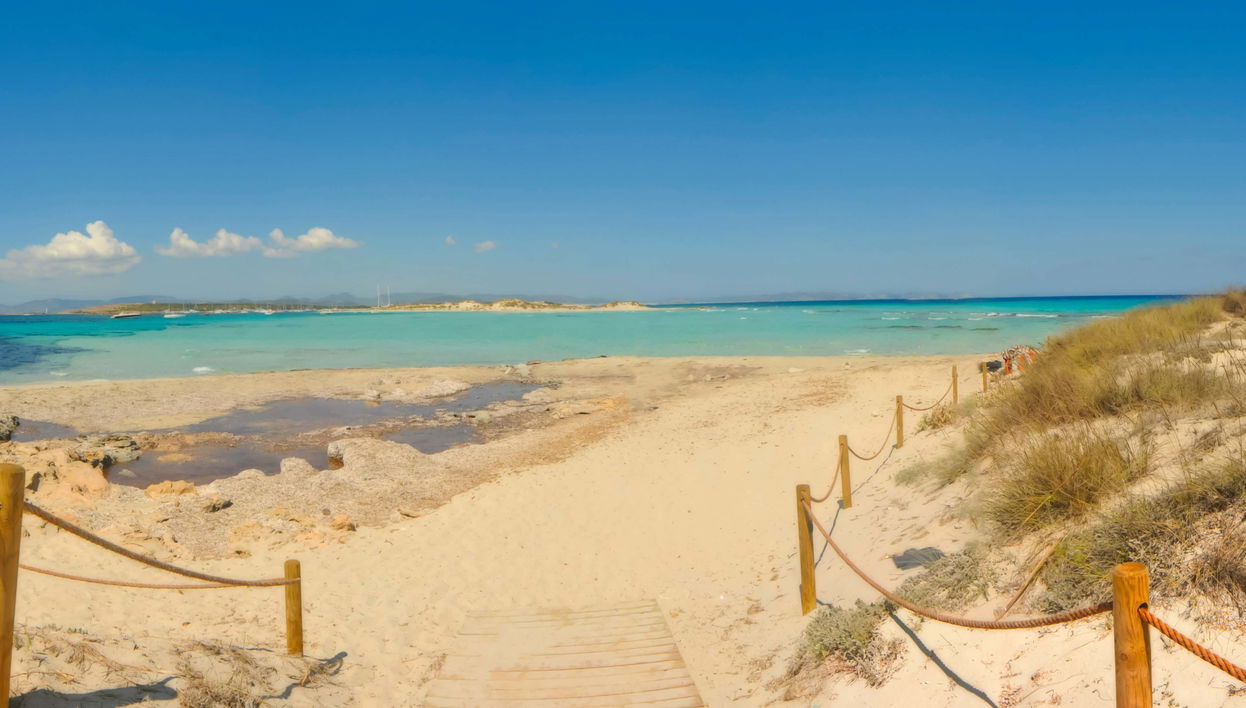 Excursión a la isla de Espalmador