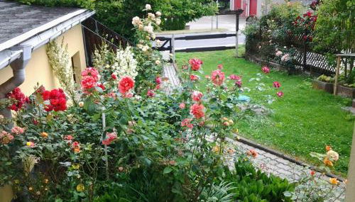 Ferienhaus Waldblick - Foto 5