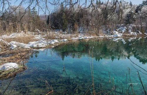 Apartman Lana - Foto 41