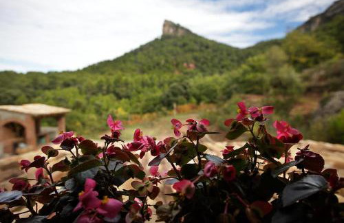 Foïna dels Fontanals - Foto 21