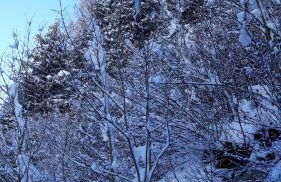 Casa per vacanze degli gnomi - Foto 21