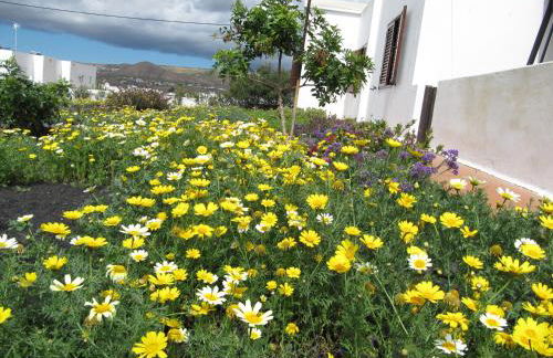 Casa Montaña de Tahiche - Foto 48