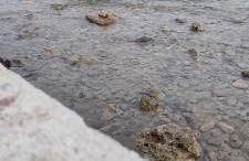 Laperlapartment - Foto 20