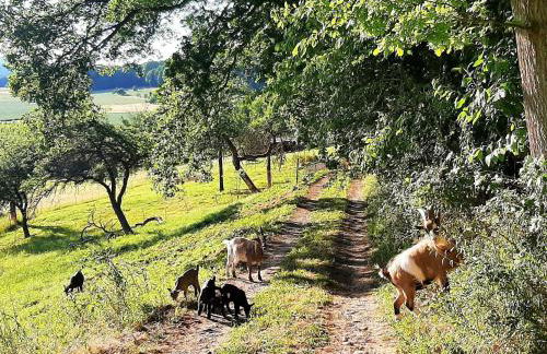 Apartment Vineyard-Suites FeWo by Interhome - Foto 14