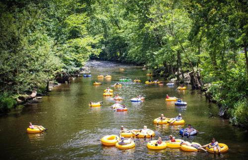 Dreamy Cabin & Outdoor Oasis! Mins to Nat'l Park! - Foto 37