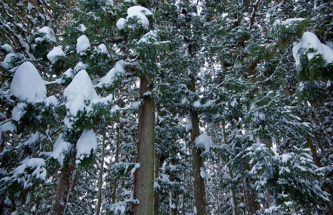 Gakuto Villas - Foto 30