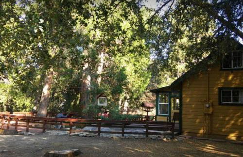 Serene and Magical Cabin w/Barrel Sauna and Fireplace - Foto 25