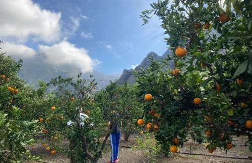 Casa Camino Tamadaba II (bottom home) - Foto 34