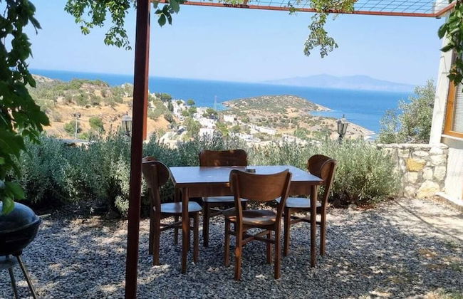 Sole Foca ( Ages 12+ ) - Foto 49