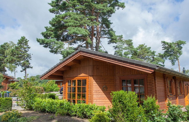 Comfortable Wooden Chalet in the Achterhoek - Foto 26