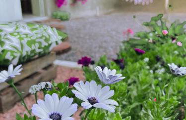 Refúgio com hidro, lareira e jardim em Três Coroas - Foto 22