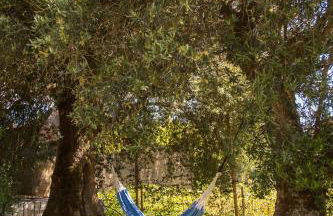 Vivenda Montanha - Relax in Nature - Foto 9