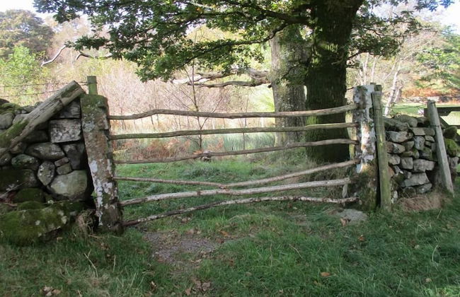 Pheasant Lodge Scottish Borders - Foto 13