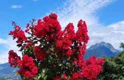 Marlingsuites - Vinea - Wieser Josef - Marling - Foto 37