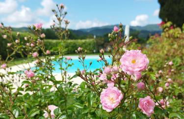 Tenuta San Jacopo - Agriturismo - Foto 45