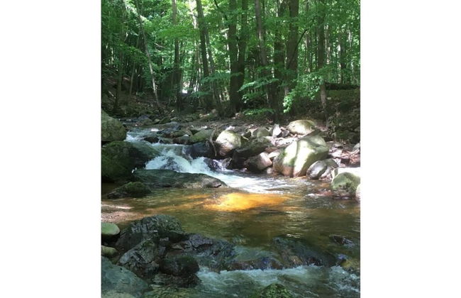 Villa _master Suite Comfortable Vacation Home - Foto 13