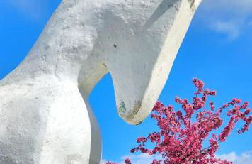 INES HOME tra lago e montagna - Lago d'Iseo - Photo 27