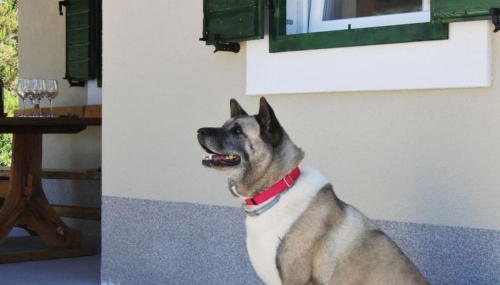 Kuća za odmor OLICA - Foto 4