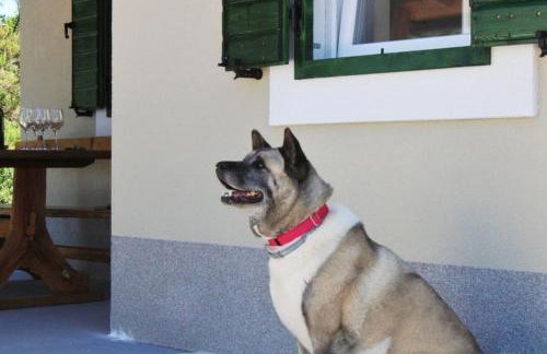 Kuća za odmor OLICA - Foto 4