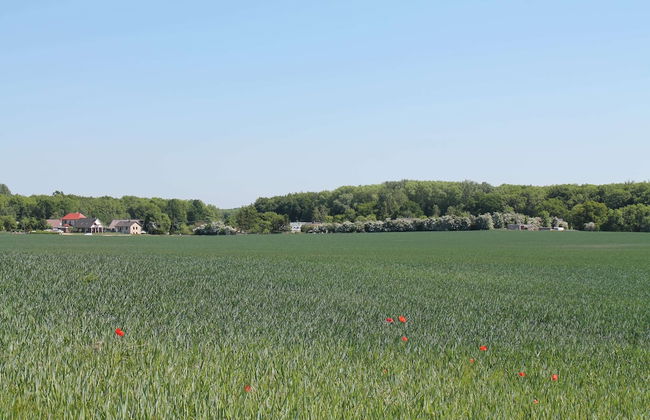Cozy Apartment in Boltenhagen Germany Near the Beach - Foto 68