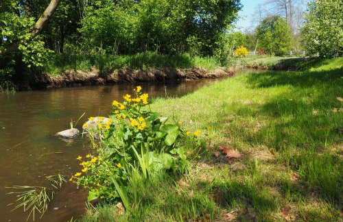 Małe Mazury- domek z łowiskiem - Photo 18