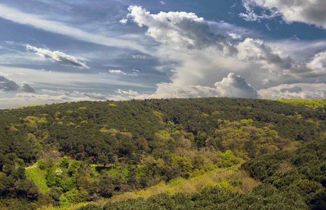 Maslak Aparts - Photo 1