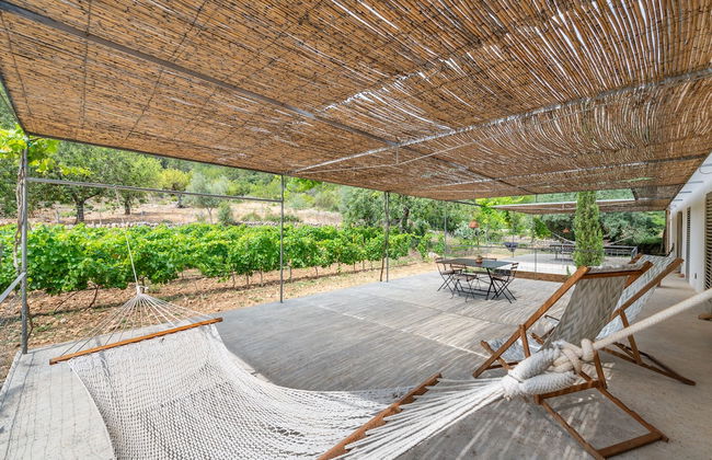 Agroturismo Filicumis - Foto 75