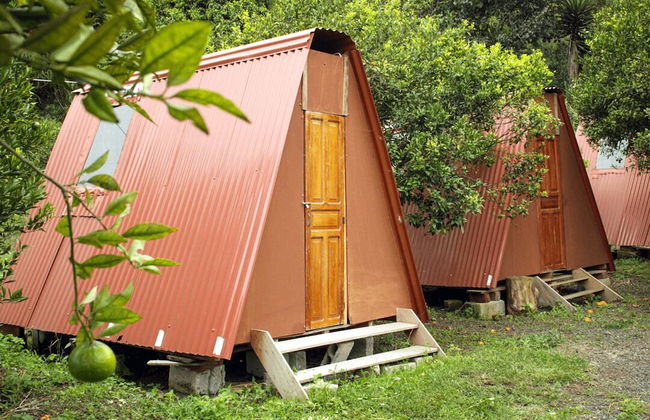 Natural Garden Glamping - Foto 2