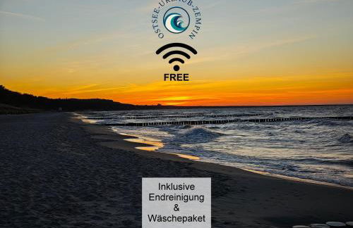 Ostsee-Urlaub-Zempin direkt am Küstenwald, nur wenige Minuten zum Strand, optimal für Paare mit 1 Hund bis 45 cm Schulterhöhe - Foto 1