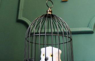 Zauberhafte Wohnung mit Hogwarts-Feeling und Terrasse - Photo 39