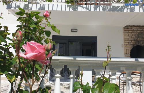 Assato Apartments - Photo 58