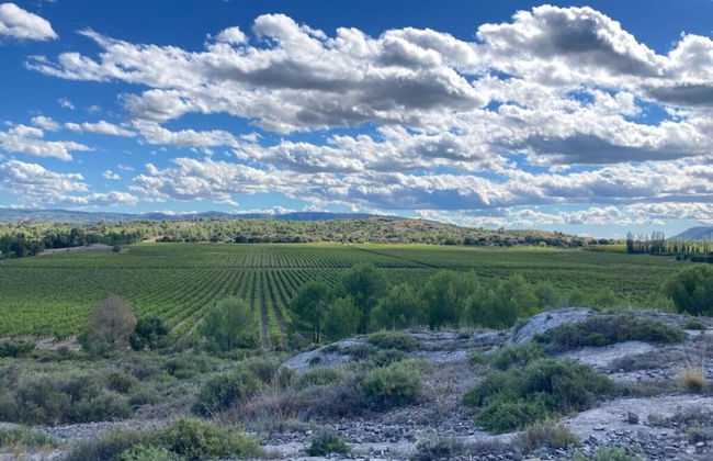 Oud Wijnhuis Mas - Foto 26