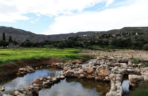 Villa Kalliopi ΙnCreteble Cretan Resindences Collection - Photo 56