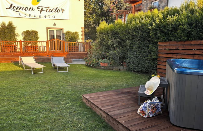 Lemon Factor Sorrento - Photo 74